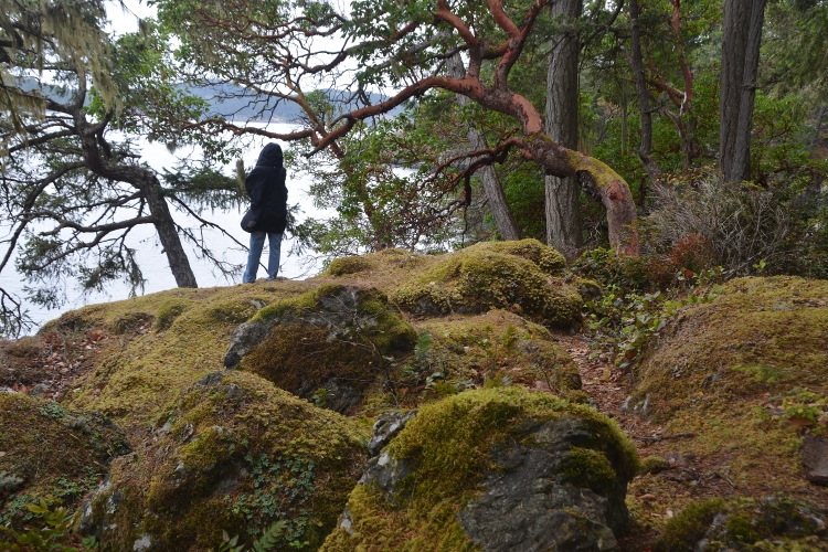 Creyke Trail, East Sooke Regional Park